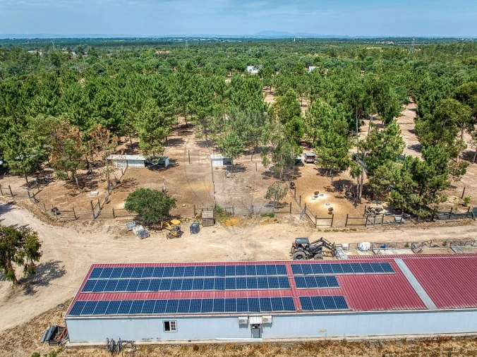 Terreno para Venda em Marinhais Foto 8