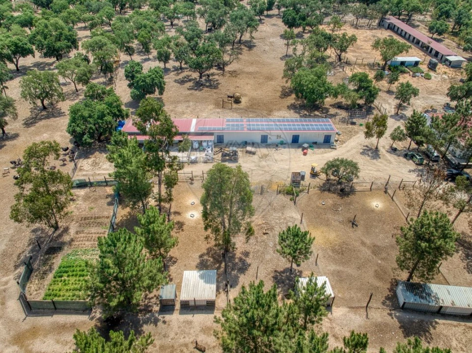 Terreno para Venda em Marinhais Foto 4