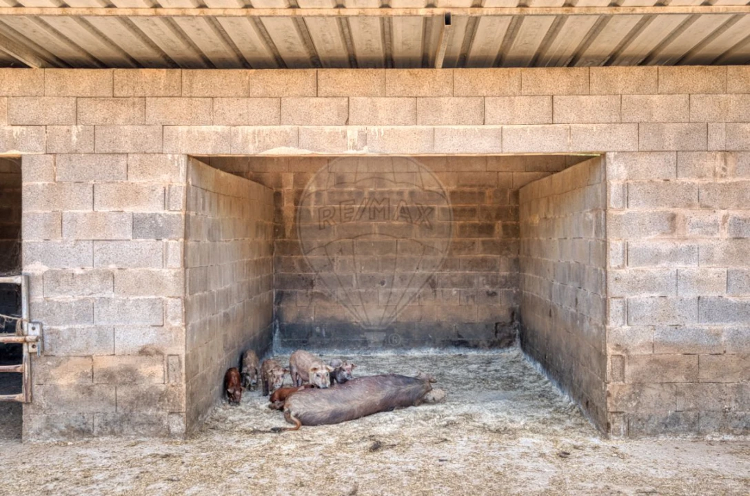 Terreno para Venda em Marinhais Foto 27