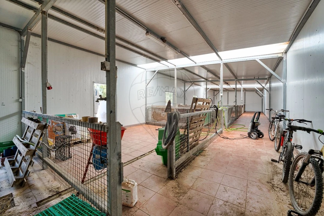 Terreno para Venda em Marinhais Foto 15