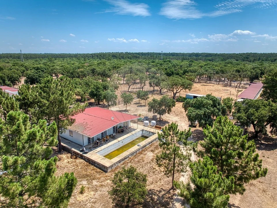 Terreno para Venda em Marinhais Foto 8