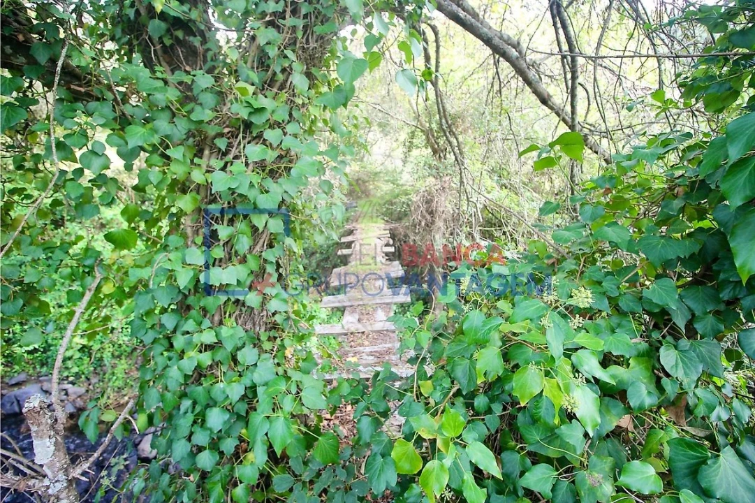 Terreno para Venda em Igreja Nova e Cheleiros Foto 7