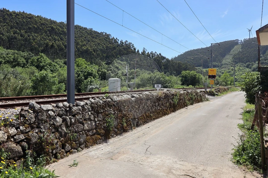 Terreno para Venda em Igreja Nova e Cheleiros Foto 4