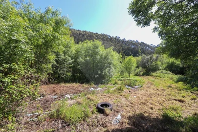 Terreno para Venda em Igreja Nova e Cheleiros