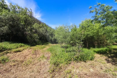 Terreno para Venda em Igreja Nova e Cheleiros