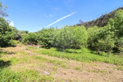 Terreno para Venda em Igreja Nova e Cheleiros