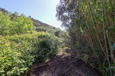 Terreno para Venda em Igreja Nova e Cheleiros