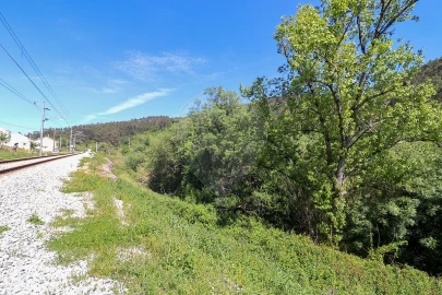 Terreno para Venda em Igreja Nova e Cheleiros