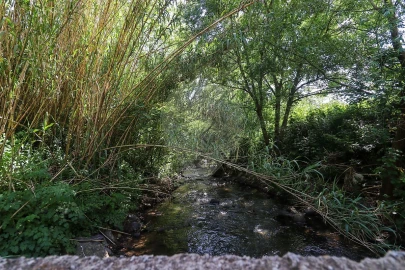 Terreno para Venda em Igreja Nova e Cheleiros