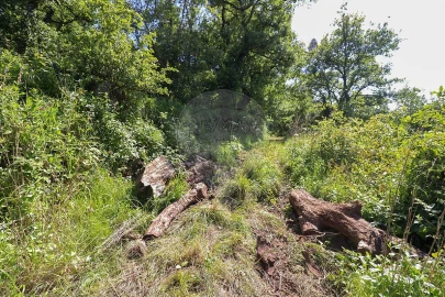 Terreno para Venda em Igreja Nova e Cheleiros