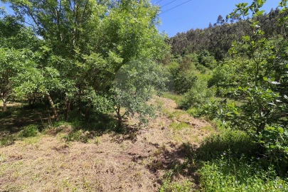 Terreno para Venda em Igreja Nova e Cheleiros