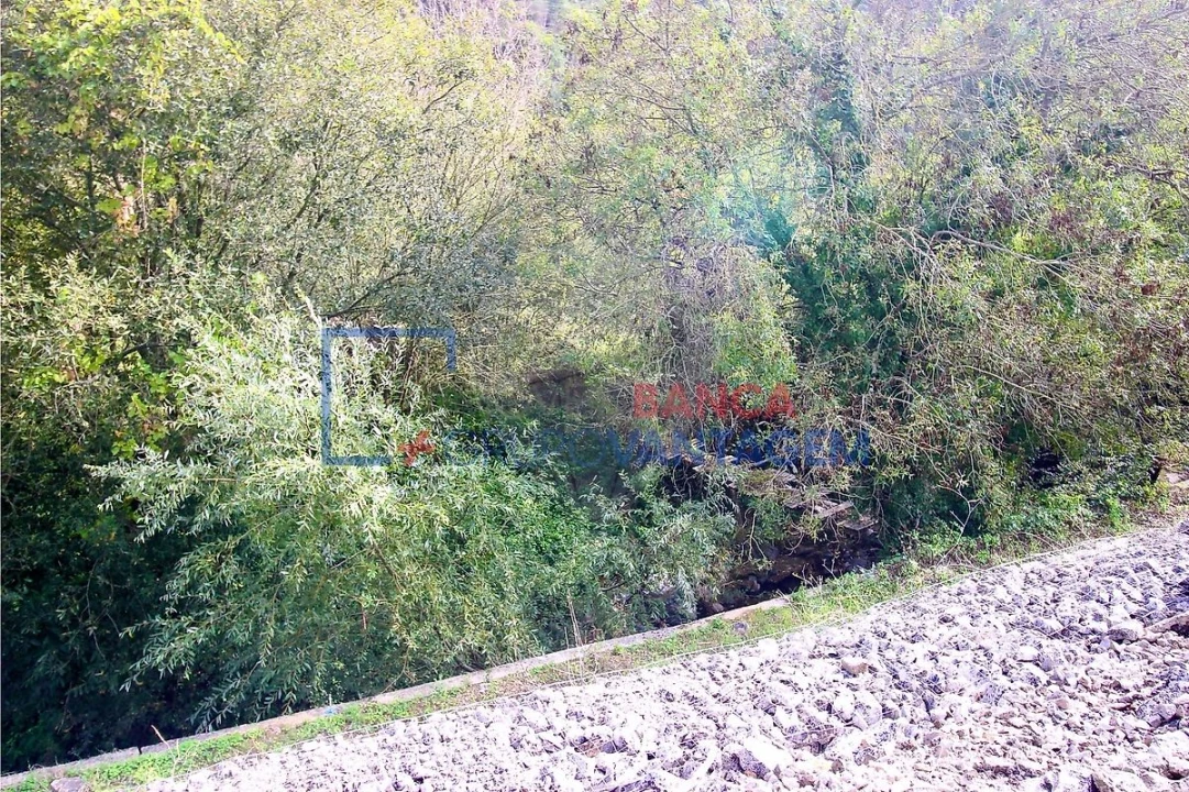 Terreno para Venda em Igreja Nova e Cheleiros Foto 5