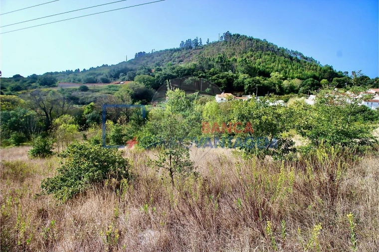 Terreno para Venda em Igreja Nova e Cheleiros Foto 1