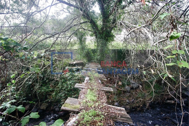 Terreno para Venda em Igreja Nova e Cheleiros Foto 9