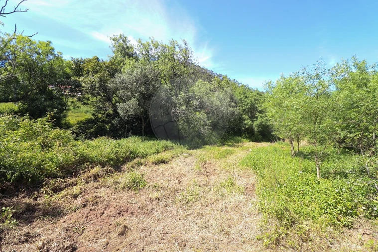 Terreno para Venda em Igreja Nova e Cheleiros Foto 5