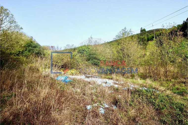 Terreno para Venda em Igreja Nova e Cheleiros Foto 12