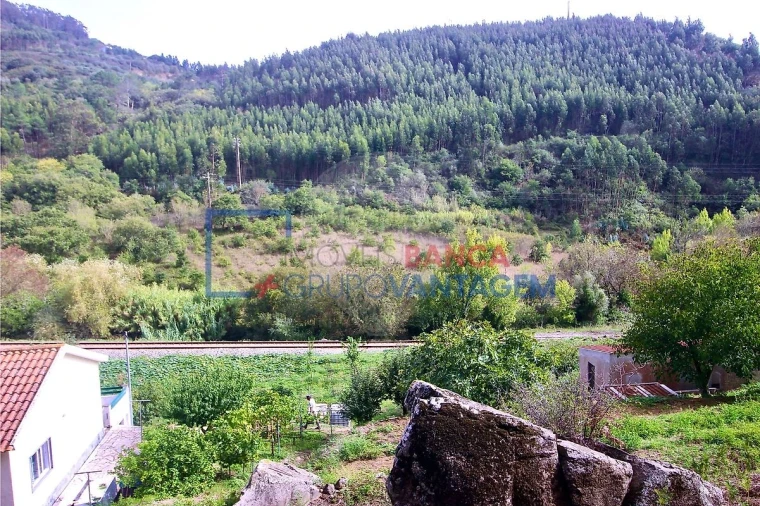 Terreno para Venda em Igreja Nova e Cheleiros Foto 3