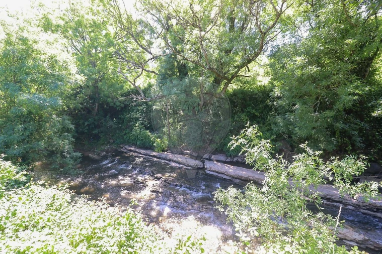 Terreno para Venda em Igreja Nova e Cheleiros Foto 10