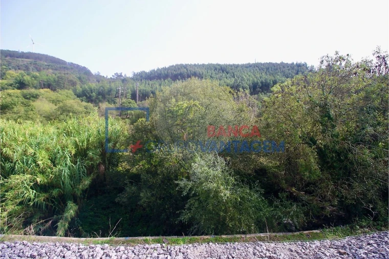 Terreno para Venda em Igreja Nova e Cheleiros Foto 6