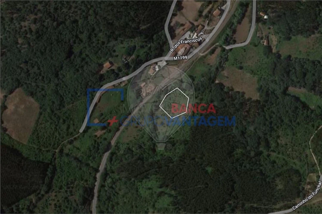 Terreno para Venda em Igreja Nova e Cheleiros Foto 15