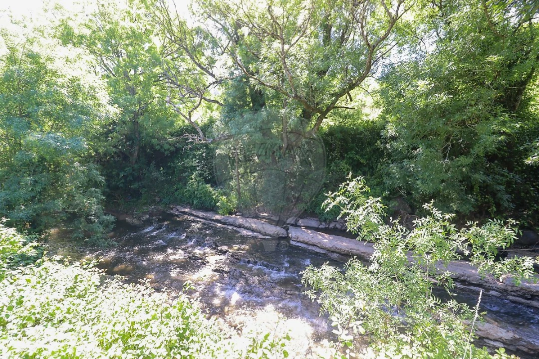 Terreno para Venda em Igreja Nova e Cheleiros Foto 10