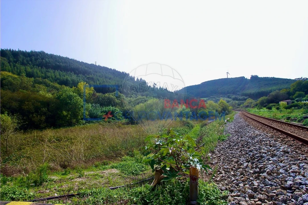 Terreno para Venda em Igreja Nova e Cheleiros Foto 2