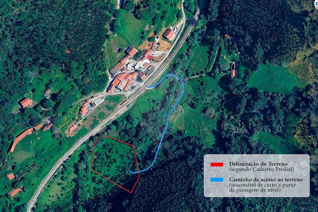 Terreno para Venda em Igreja Nova e Cheleiros Foto 1