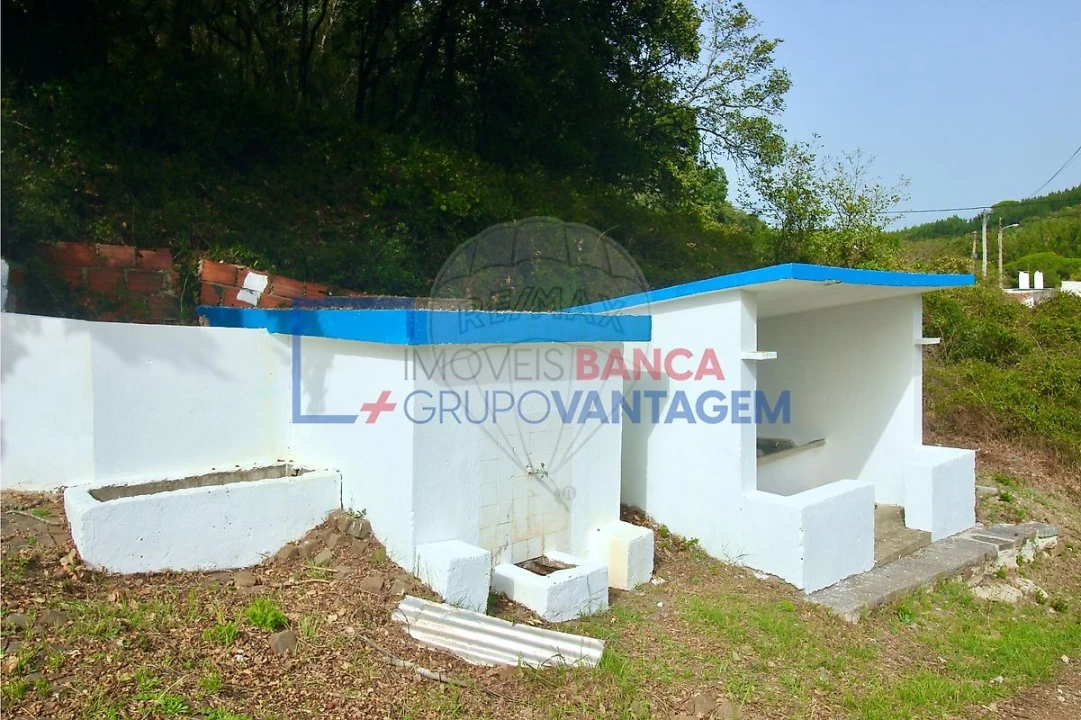 Terreno para Venda em Igreja Nova e Cheleiros Foto 4