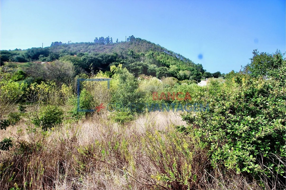 Terreno para Venda em Igreja Nova e Cheleiros Foto 11