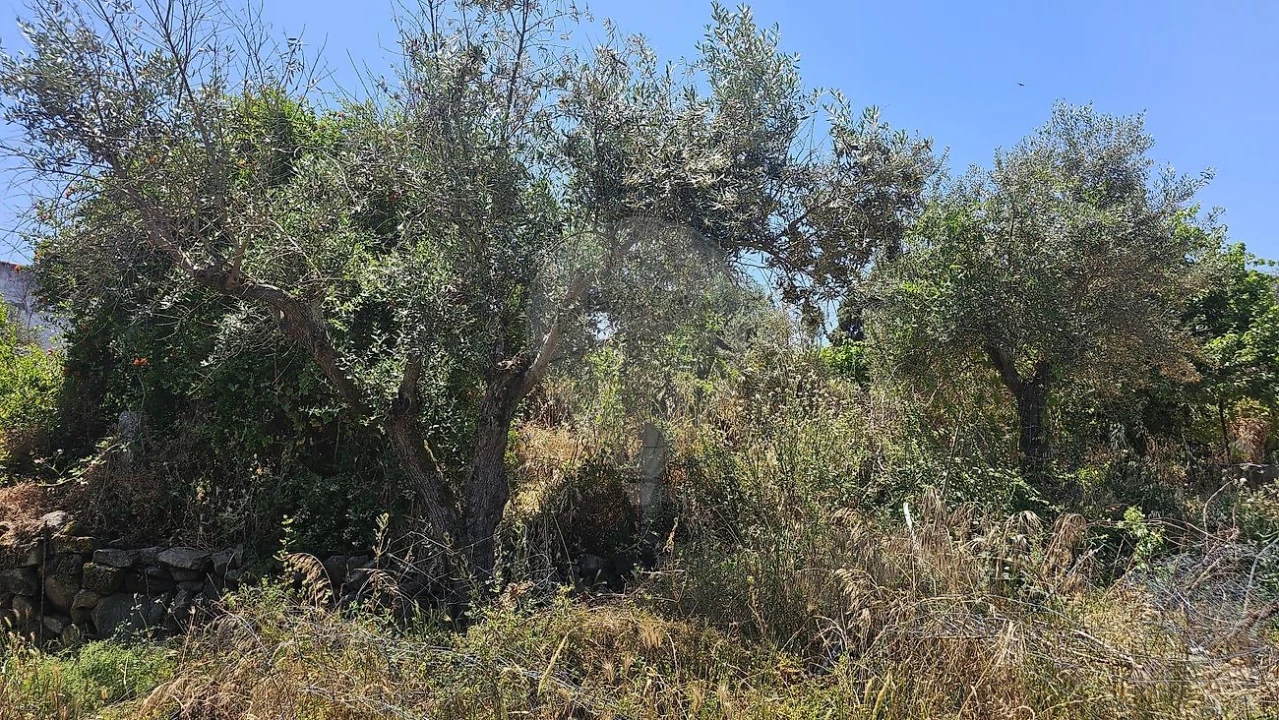 Moradia T2 para Venda em Santa Eulalia Foto 4