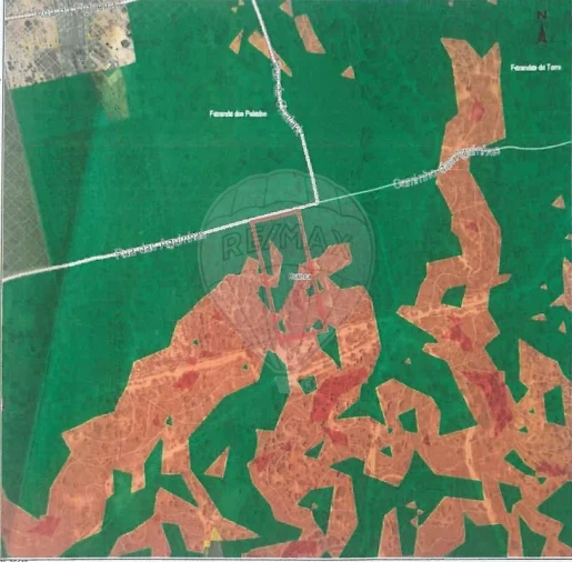 Terreno para Venda em Branca Foto 3