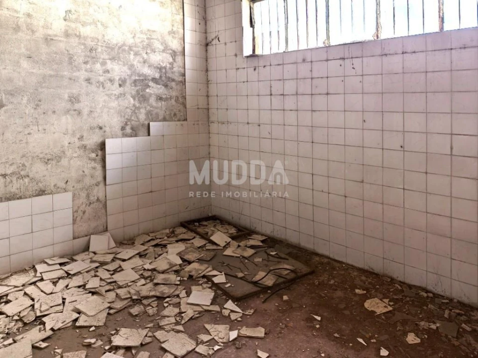 Armazém para Venda em Benedita Foto 9