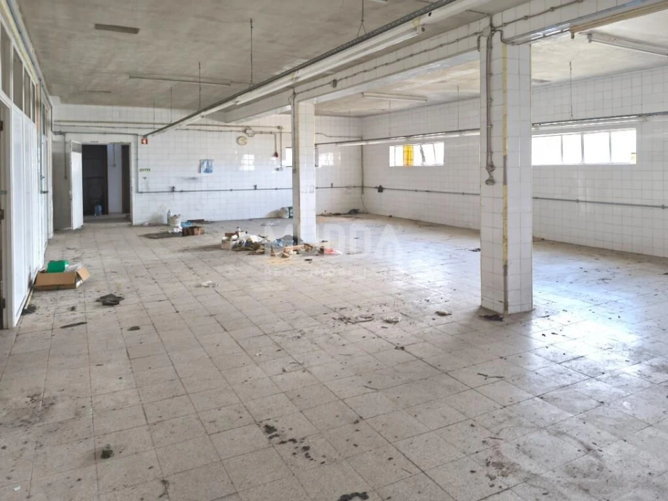 Armazém para Venda em Benedita Foto 12