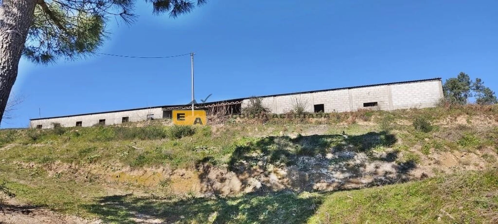 Quinta T5 para Venda em Gestaço Foto 17