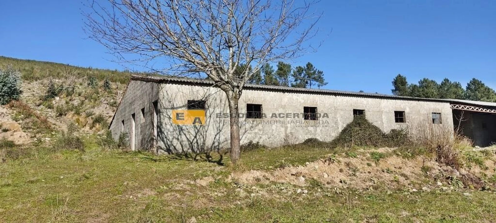 Quinta T5 para Venda em Gestaço Foto 15