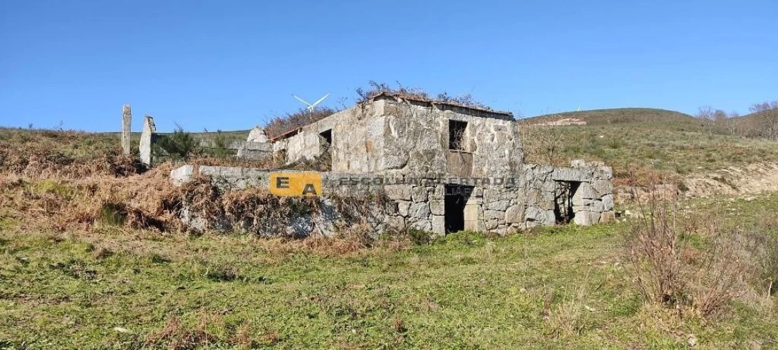 Quinta T5 para Venda em Gestaço Foto 4