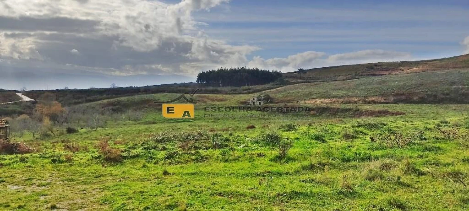 Quinta T5 para Venda em Gestaço Foto 2