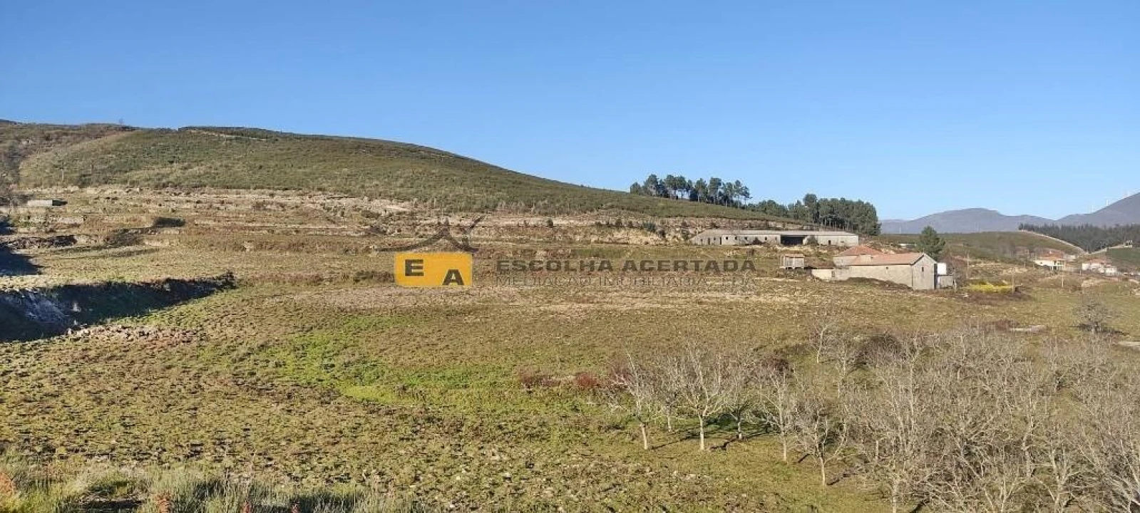 Quinta T5 para Venda em Gestaço Foto 5