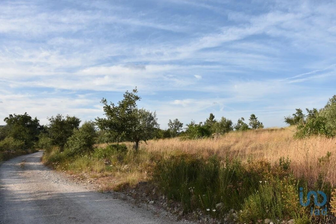 Terreno para Venda em Chãos Foto 4