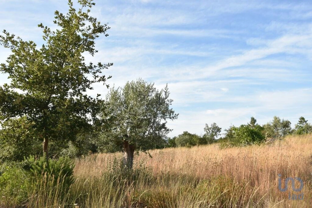 Terreno para Venda em Chãos Foto 7