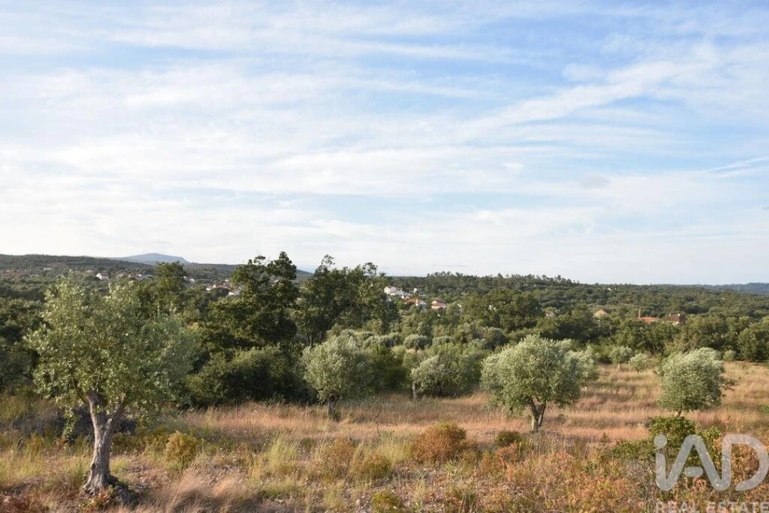 Terreno para Venda em Chãos Foto 23