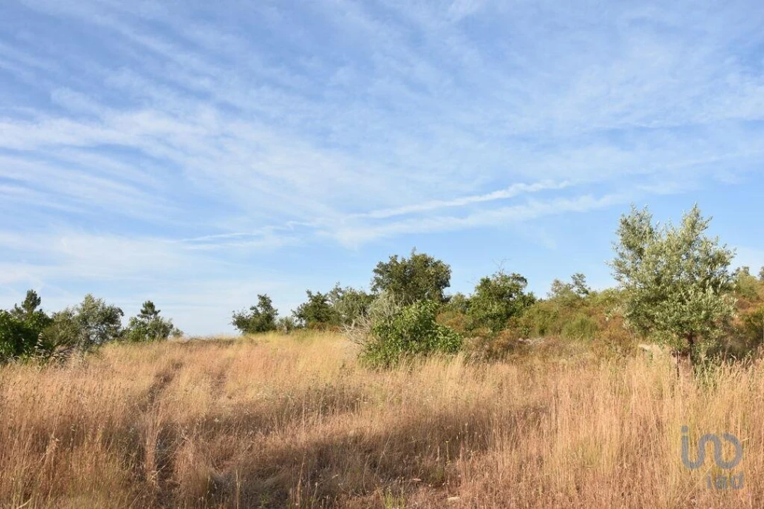 Terreno para Venda em Chãos Foto 6