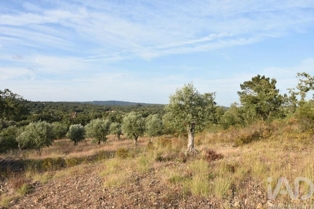 Terreno para Venda em Chãos Foto 20