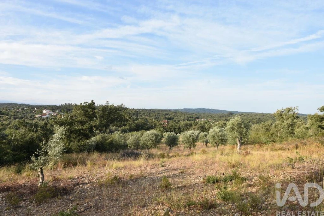 Terreno para Venda em Chãos Foto 19