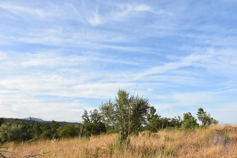 Terreno para Venda em Chãos Foto 10