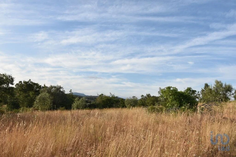 Terreno para Venda em Chãos Foto 8