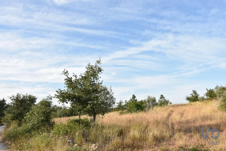 Terreno para Venda em Chãos Foto 5