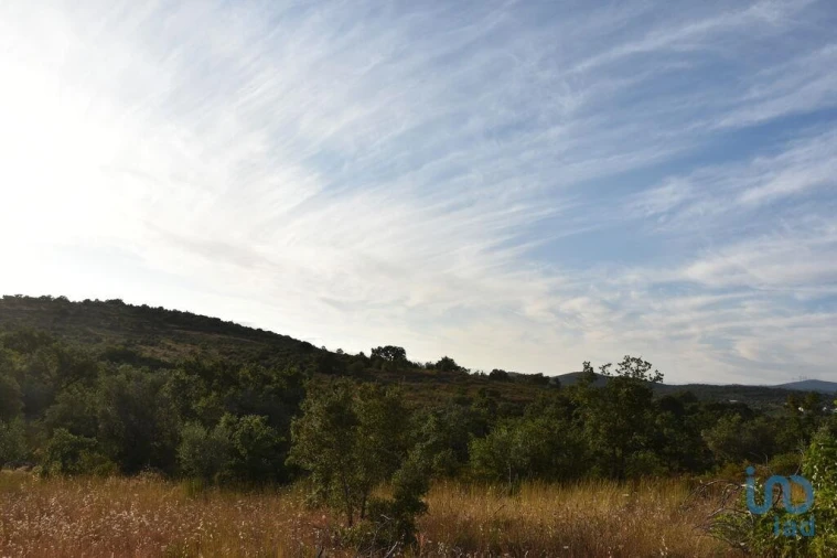 Terreno para Venda em Chãos Foto 12