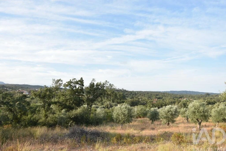 Terreno para Venda em Chãos Foto 21