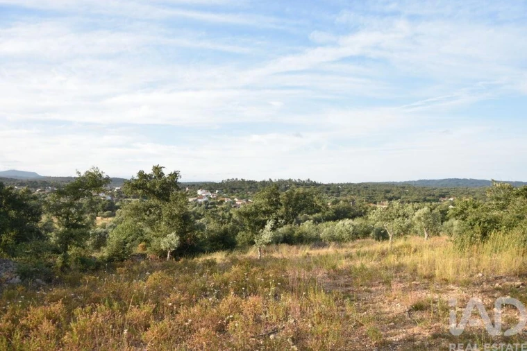 Terreno para Venda em Chãos Foto 17